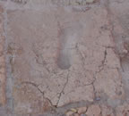 Chogha Footprint
