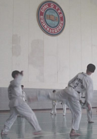 NK - Taekwondo Practice