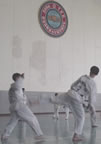 Schoolchildren's Palace taekwondo class 